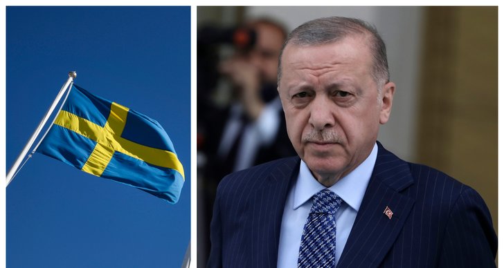 turkiet, Recep Tayyip Erdogan, Sverige, Vladimir Putin, nato, Ryssland